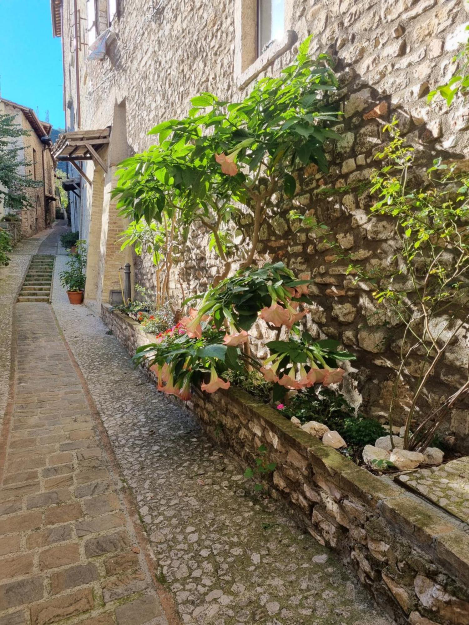 Cuore del Castello Arrone Esterno foto